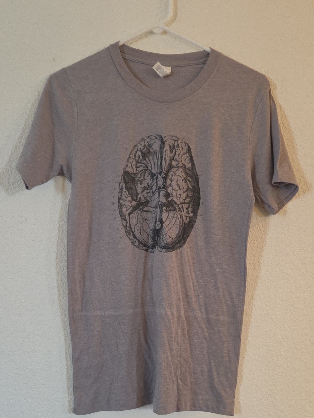 Bella Canvas Gray Tee with Anatomical Brain Graphic